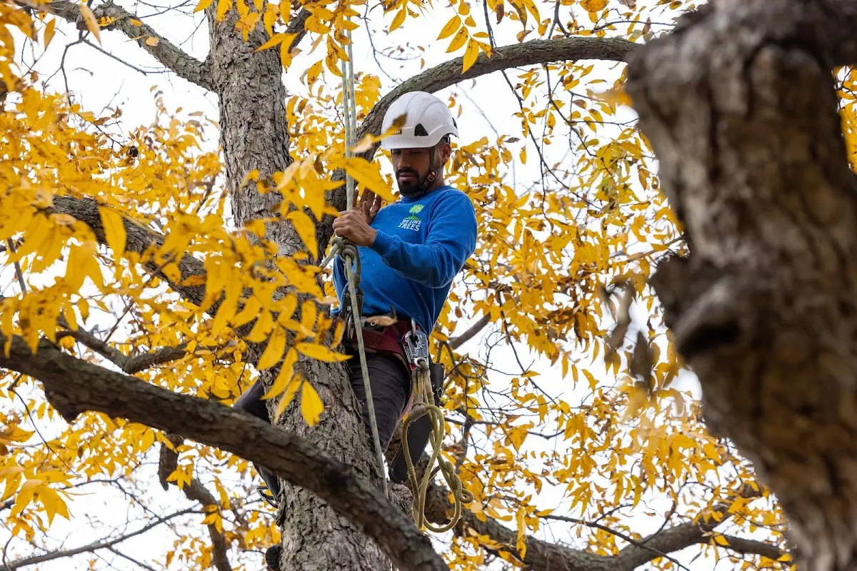 Skilled Storm Damage Cleanup crew working in Elk City